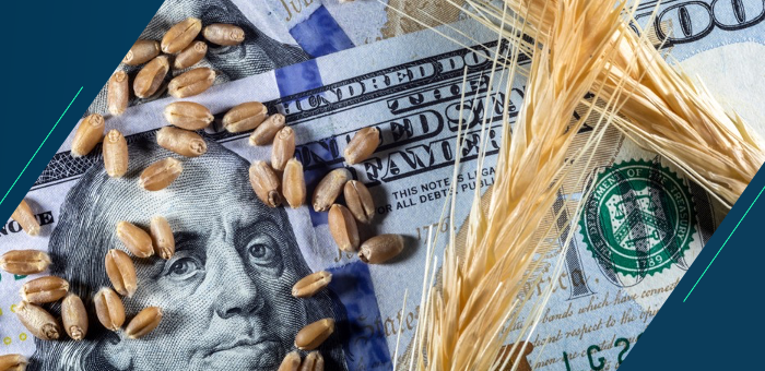 The importance of FX risk management for commodity firms | MillTechFX